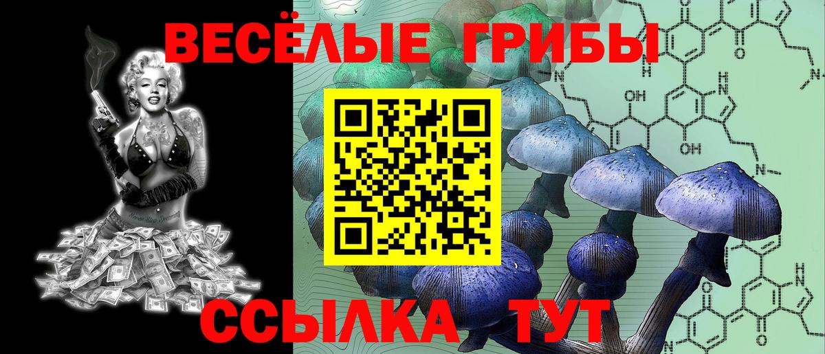 Псилоцибиновые грибы Magic Shrooms Белореченск