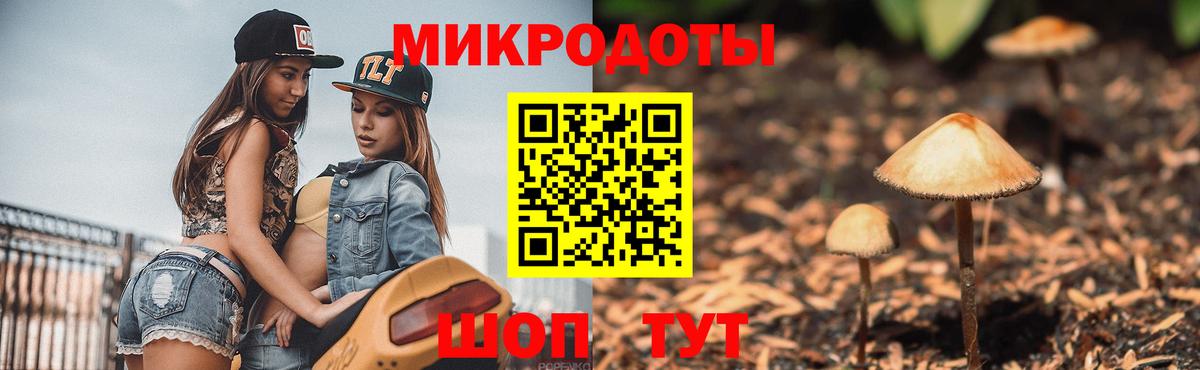 Галлюциногенные грибы прущие грибы  Вход с VPN  Белореченск 